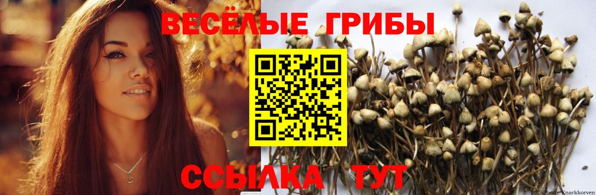 Усинск  Галлюциногенные грибы прущие грибы  Вход с VPN 